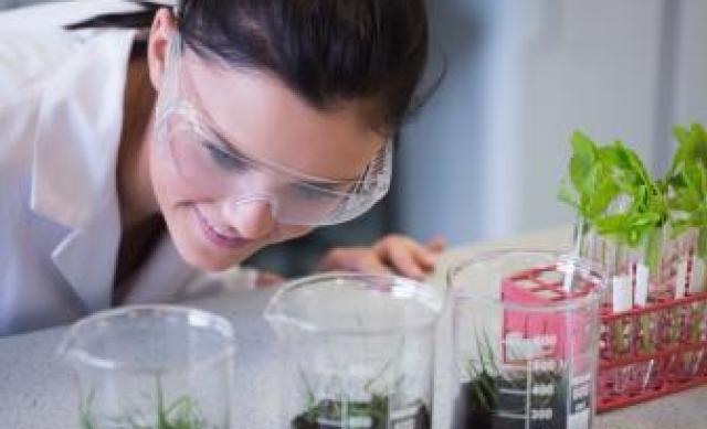 student conducting food research