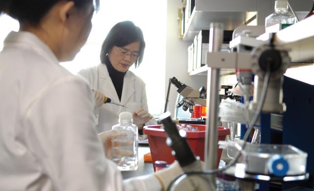research staff