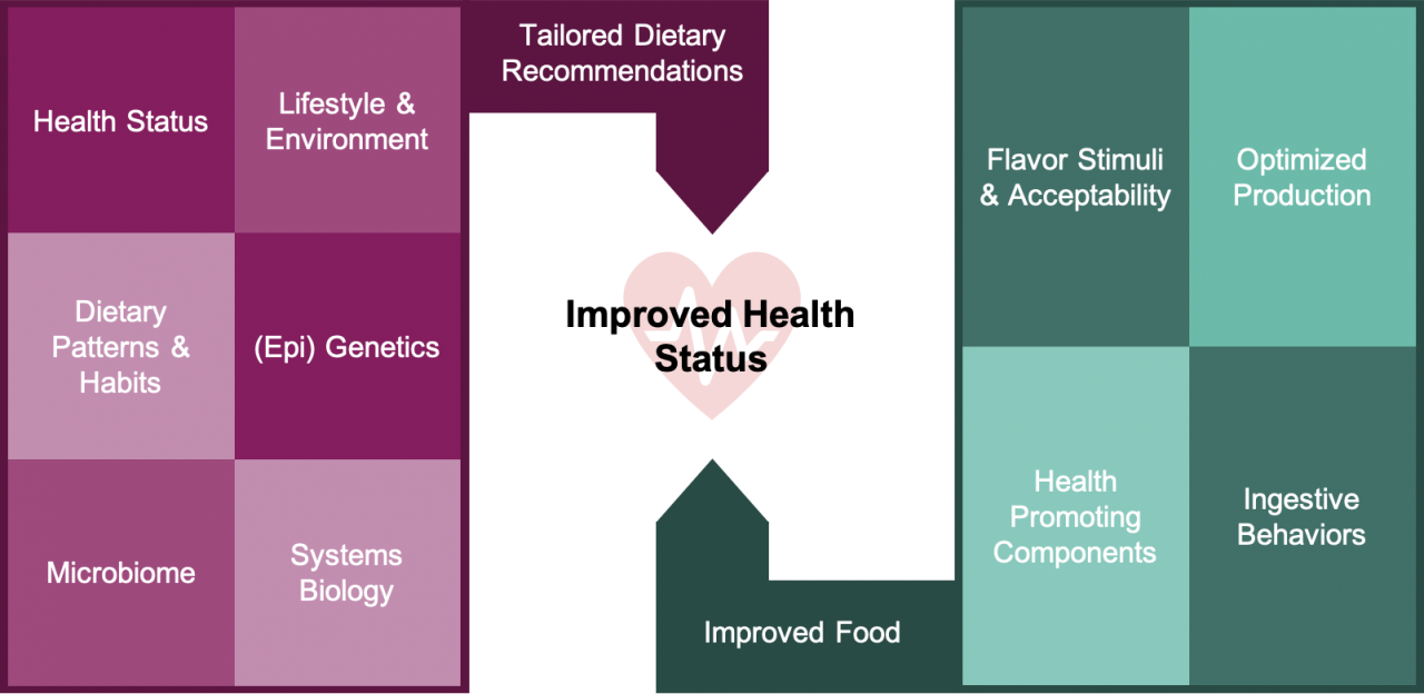 Image showing FFH approach to precision nutrition -It states that a combination of (Epi) Genetics, Systems Biology, Microbiome, Dietary Patterns and Habits, Health Status, Lifestyle and Environment and Tailored Dietary Recommendations can help achieve improved health status. Also, a combination of Ingestive Behaviors, Optimized Production, Flavor Stimuli and Acceptability, Health Promoting Components and Improved Food can also lead to Improved Health Status.