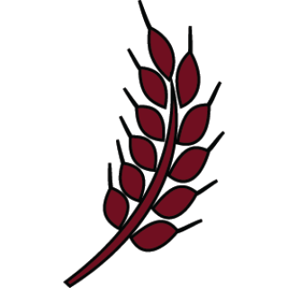 Illustration of wheat